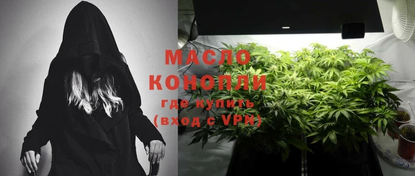 крисы Горняк