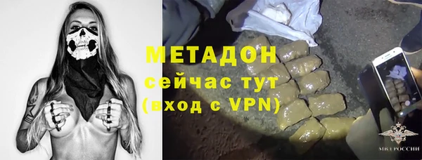 крисы Горняк