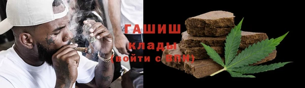 крисы Горняк