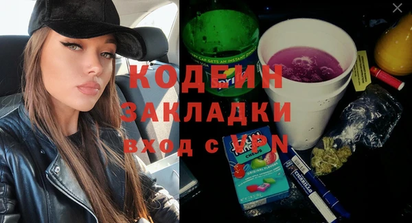 крисы Горняк