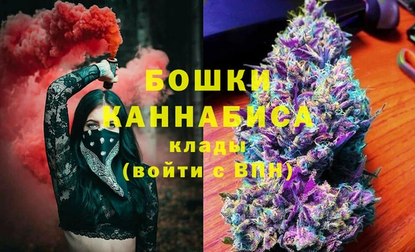 крисы Горняк