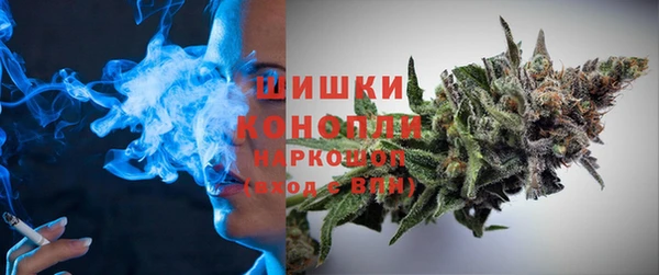 крисы Горняк