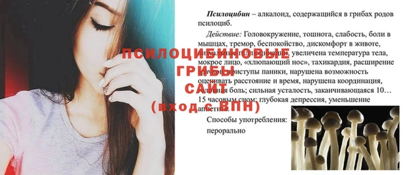 прущая мука Горно-Алтайск