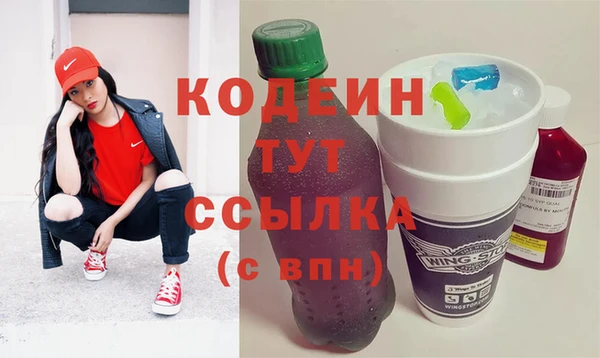 крисы Горняк