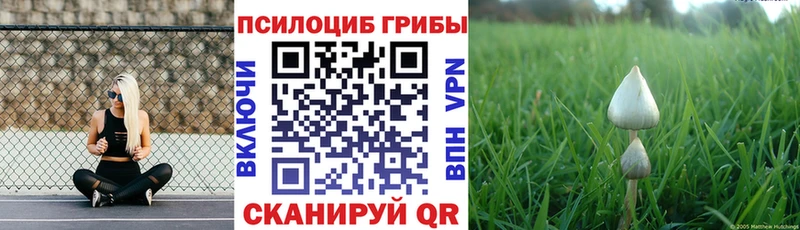 Галлюциногенные грибы мухоморы  наркота  Уфа 